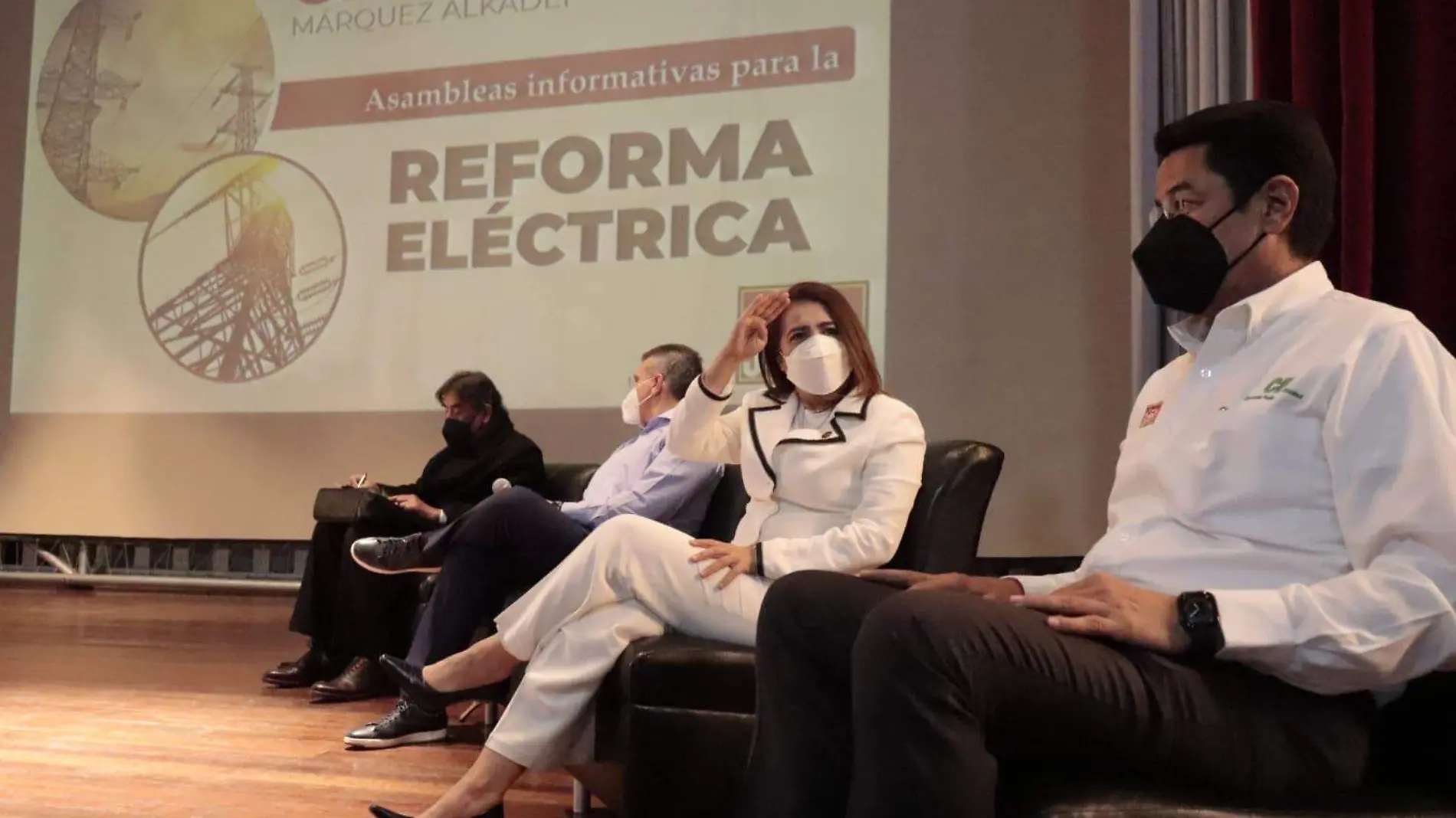 Asamblea Reforma Eléctrica